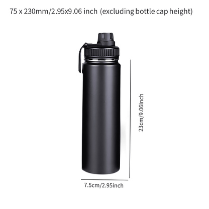 Insulated Stainless Steel Water Bottle With Spout Lid 