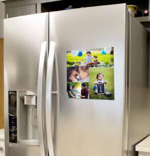 Fridge Manet (MAF01)